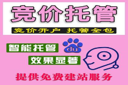 行业领先的SEM竞价广告投放案例